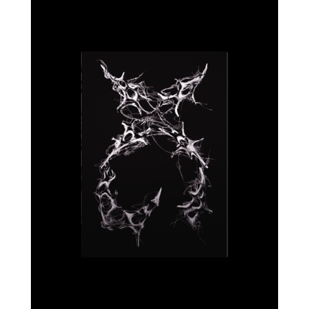 1722416001_l1